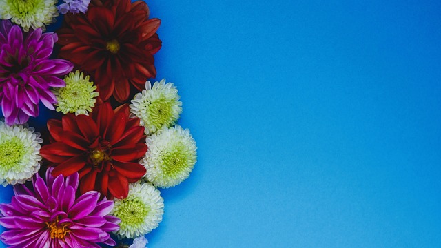 体育市场中 体育市场中