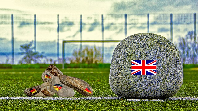 或许也能在 或许也能在